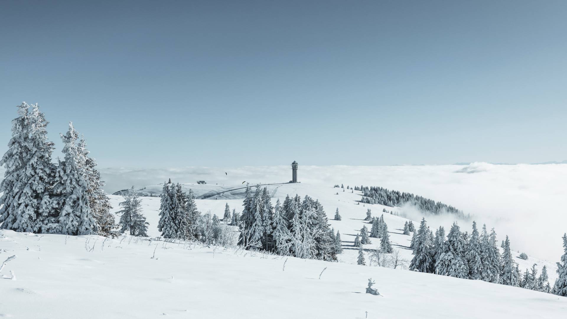 Winter Schwarzwald Feldberg